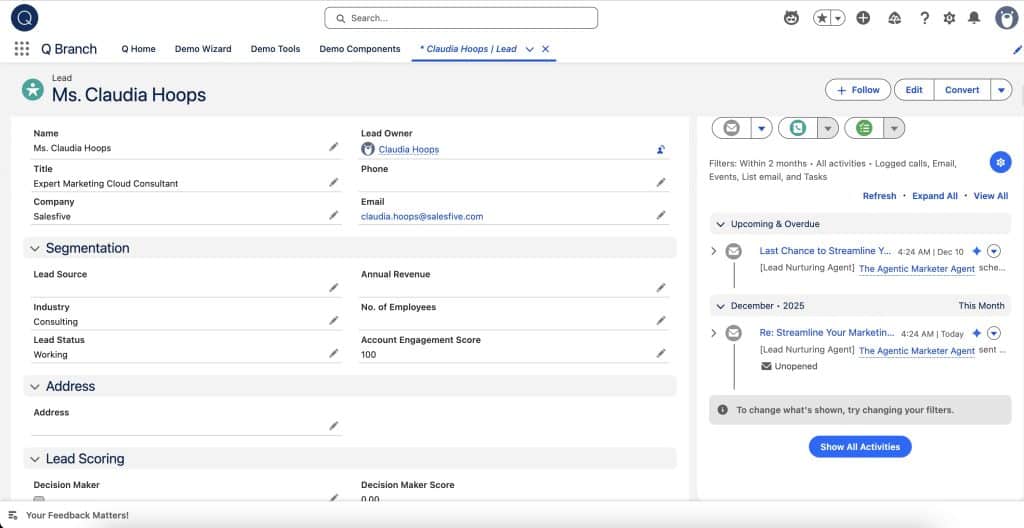Lead Nurturing: a nudge Email has been scheduled to a Lead Record
